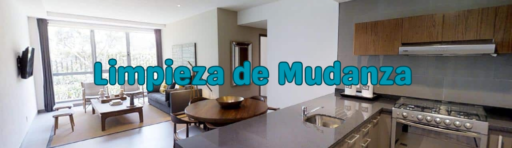 Limpieza de Mudanza